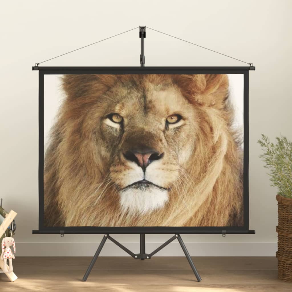 vidaXL projection screen Home Theater Screen Pull-down Projector Screen 4:3