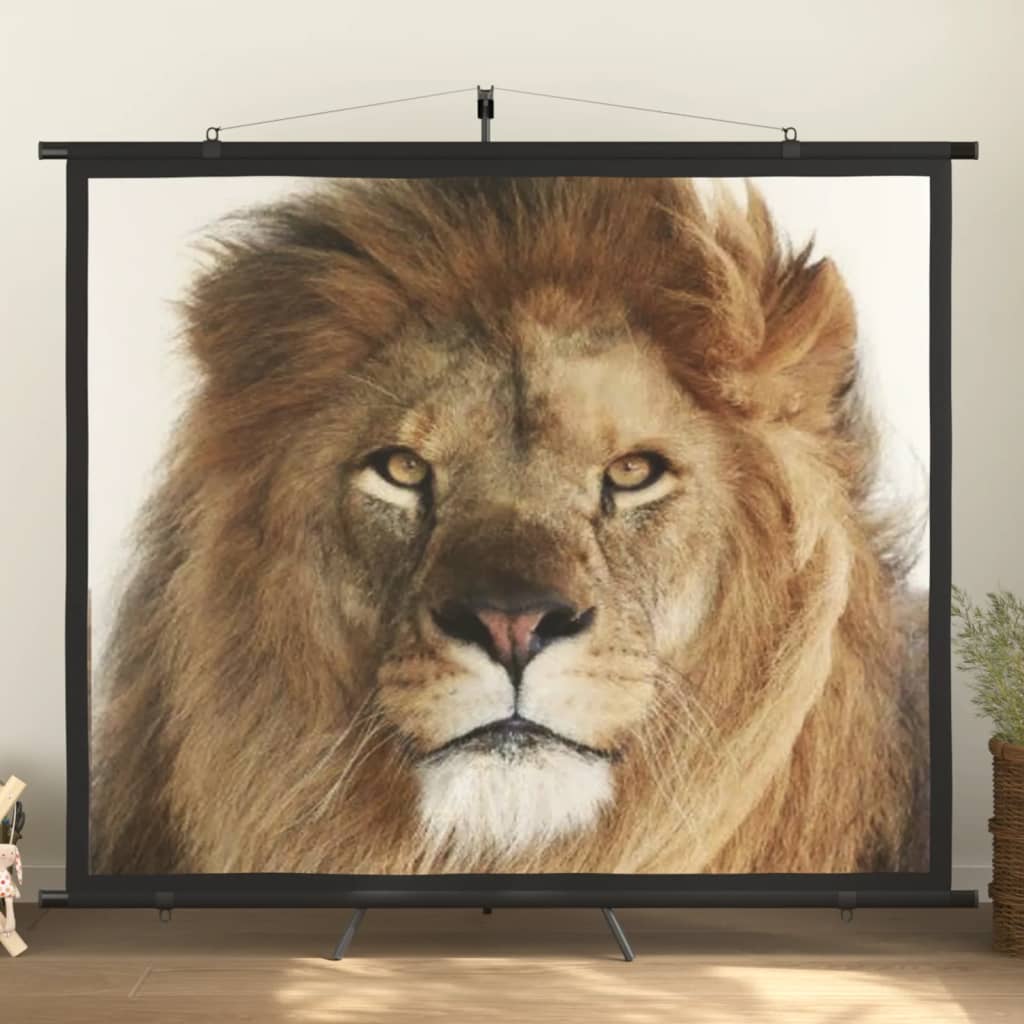 vidaXL projection screen Home Theater Screen Pull-down Projector Screen 4:3