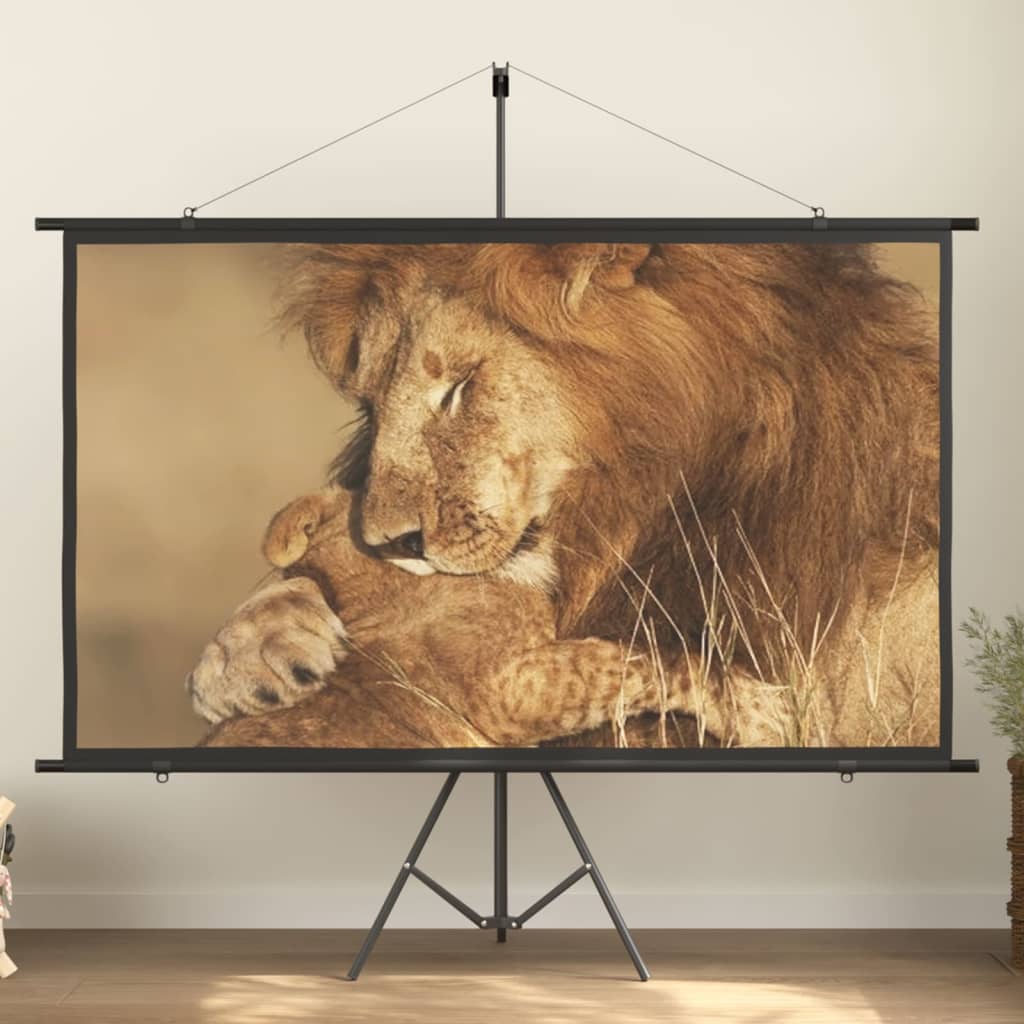 vidaXL projection screen Home Theater Screen Pull-down Projector Screen 4:3